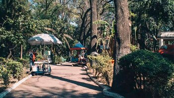 Cuál fue el origen de