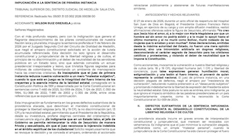 El exministro solicitó que se