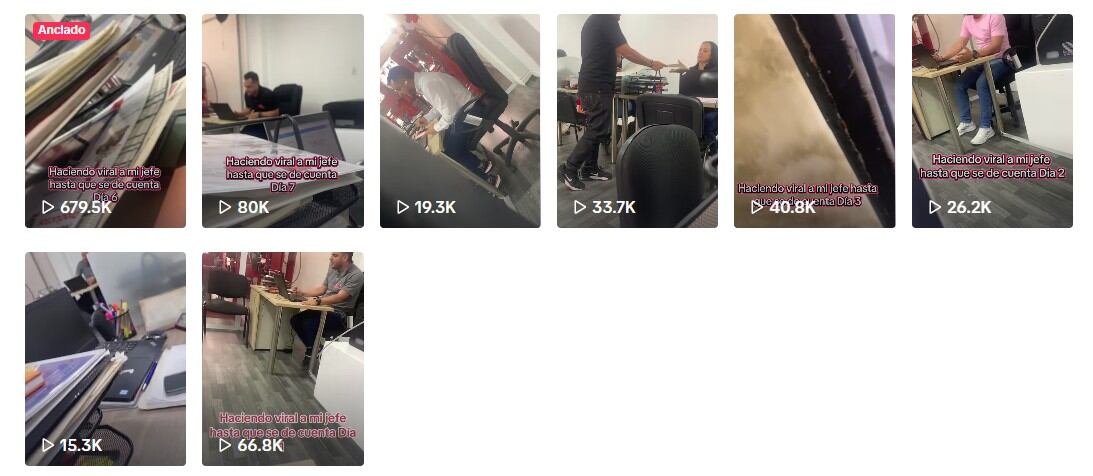 Según el usuario, su única meta es hacer popular a su jefe - Créditos: @diegoalejandroros43 - TikTok