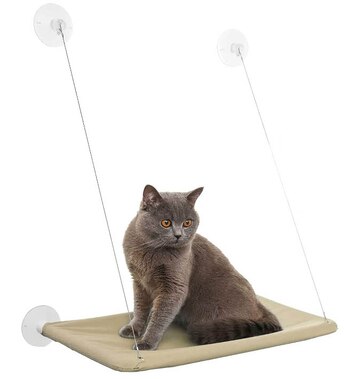 Artículos para gato en Amazon
