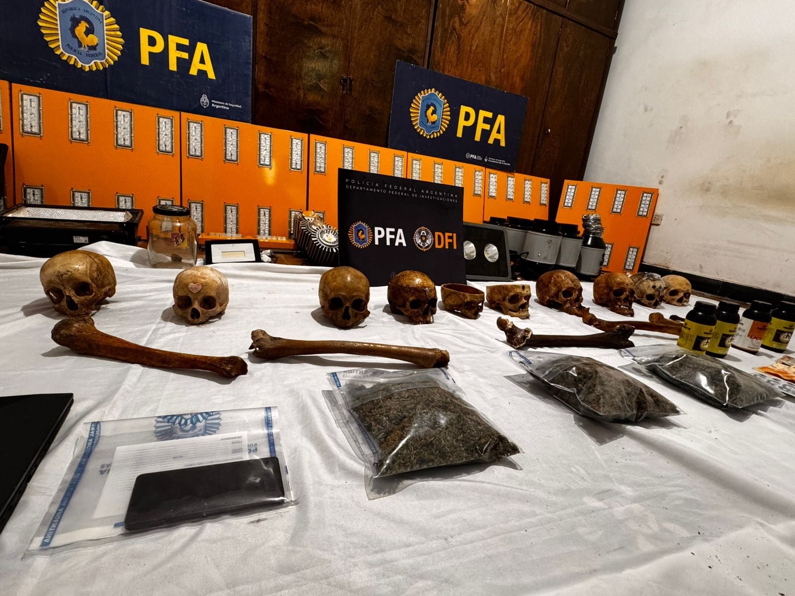 Los huesos junto a los cogollos incautados