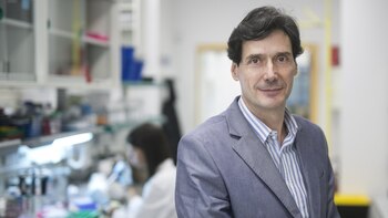 Un estudio revela que la