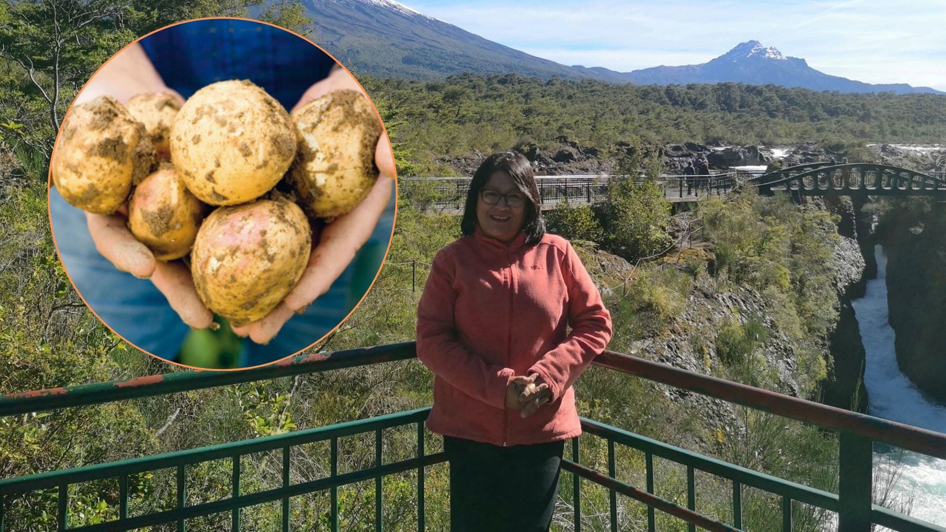 Gabriela Burgos recibió el reconocimiento TAP por desarrollar papas y camotes biofortificados para la lucha contra la anemia y la malnutrición. (Facebook de Gabriela Burgos)