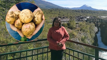 ¿Quién es Gabriela Burgos, la científica peruana que ganó un premio mundial por desarrollar papas y camotes?