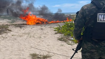 Honduras: En Olancho y Yoro erradican más de 20 mil arbustos de hoja de coca
