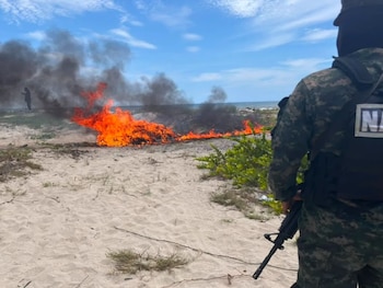 Autoridades destruyeron más de 20 mil arbustos de presunta hoja de coca.
Los cultivos ilegales fueron localizados en zonas montañosas de Olancho y Yoro. (Foto: Ministerio Público)