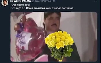 memes 21 de septiembre FLORES AMARILLAS