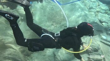 El Mazarrón II permaneció oculto