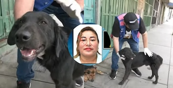 La mujer podría ser denunciada