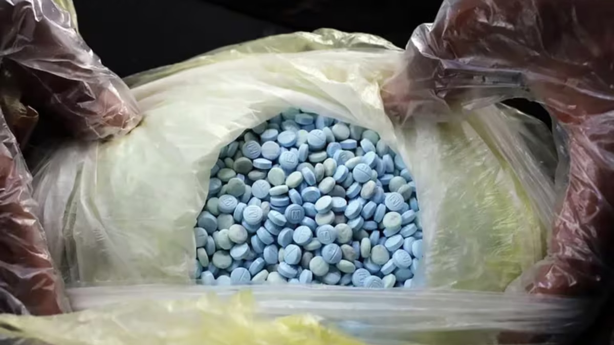 Emiten acusaciones contra dos empresas de India por enviar precursores de fentanilo a México y EEUU - Infobae