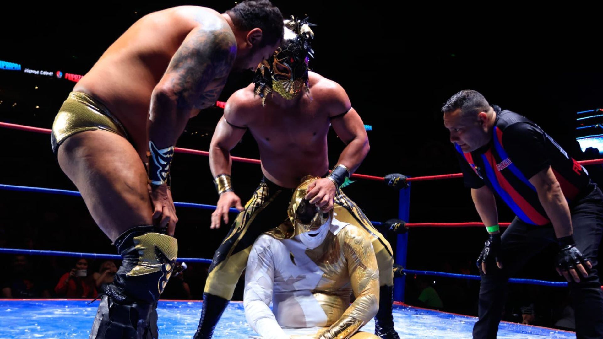 (Cortesía: Prensa Fuerza Guerrera)