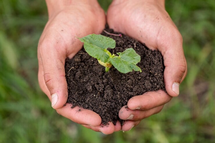 Las autoridades de la ciudad se han mostrado comprometidas con el ambiente - crédito Freepik