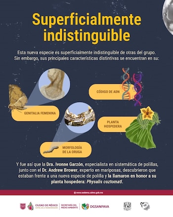 Un estudio multidisciplinario permitió reconocer