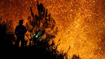 La nueva era de incendios forestales extremos “requiere cambios profundos”: el 78% de los recursos se destina a extinción y solo el 12% a prevención