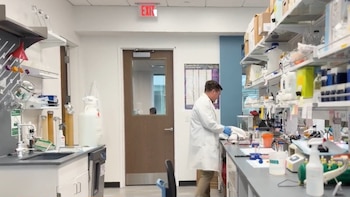 El equipo de la Universidad de Emory investiga una terapia dirigida para la leucemia infantil