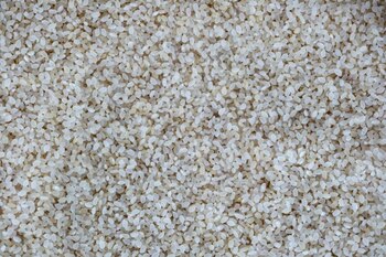 “En la cosecha 2023/2024, se