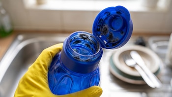 Cómo quitar el moho negro de las botellas de agua: truco fácil y efectivo: