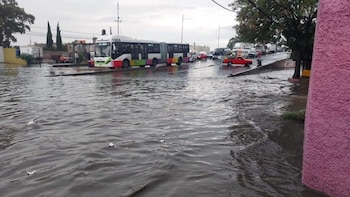 Mexibús suspendió su servicio a