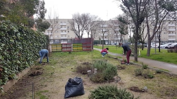 Jardín del Centro de Información y Acogida 24 Horas de Cáritas que visitará el papa León XIV. (CEDIA)