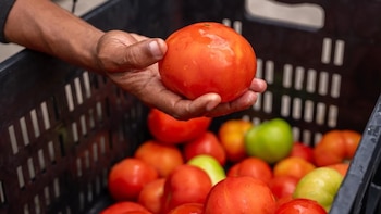 República Dominicana pierde 1.1 millones de kilos de alimentos semanales, según el Banco de Alimentos