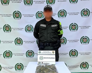 Un procedimiento en el peaje El Trapiche halló 500 dosis de marihuana enviadas bajo la modalidad de encomienda - crédito Policía Nacional