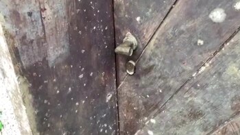 Desde el entorno familiar también