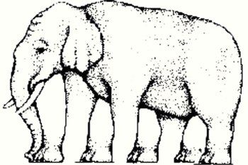 Acertijo visual: ¿Cuántas patas tiene