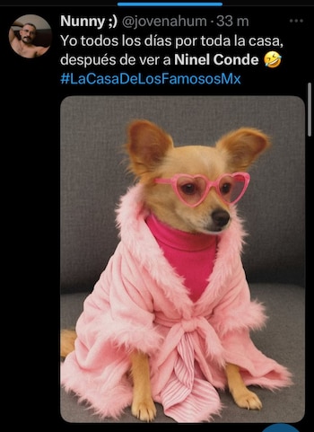 (captura de pantalla)