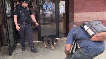 Roc fue abandonado anónimamente frente