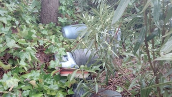 La Policía de Coslada investiga