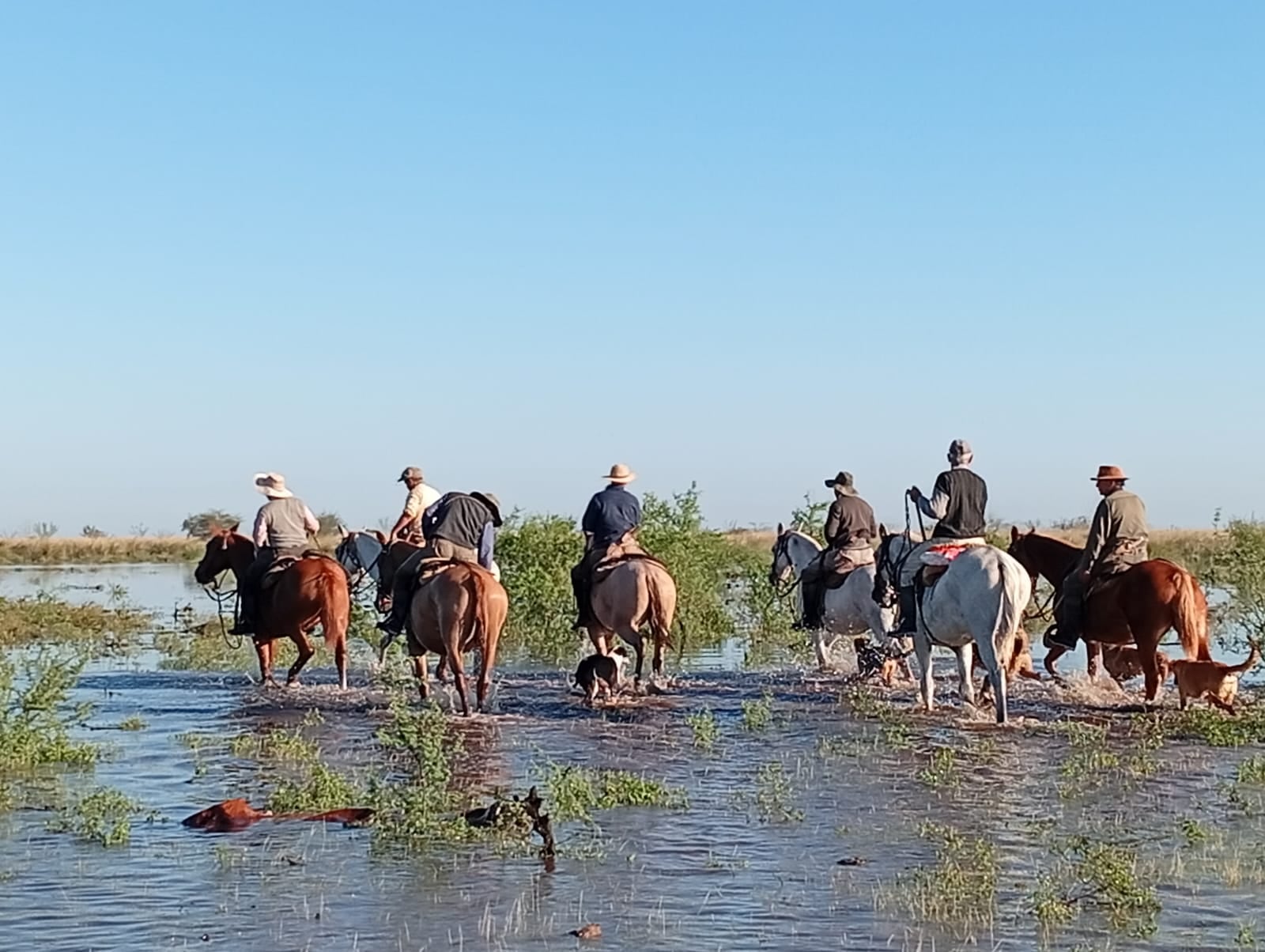 Gran parte del norte de Santa Fe se vio afectado por las inundacines