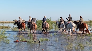 Preocupación por las inundaciones en Santa Fe: los productores rurales pierden animales y temen por el “Súper Niño”