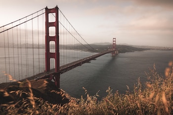 Estados como California y Texas concentran buena parte de esa actividad económica por parte de los mexicanos. Foto: Pixabay