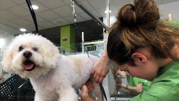 El PE pide registrar a