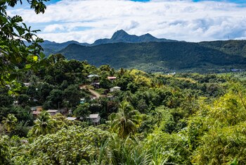 La pequeña y exuberante isla