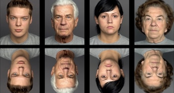 Un estudio de la Universidad