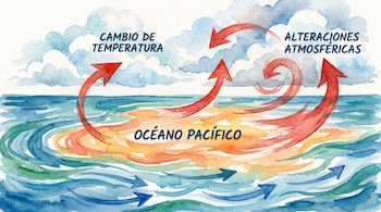 Acuarela del Océano Pacífico con aguas azules y cálidas anaranjadas, nubes y flechas rojas y azules que indican cambio de temperatura y alteraciones atmosféricas.