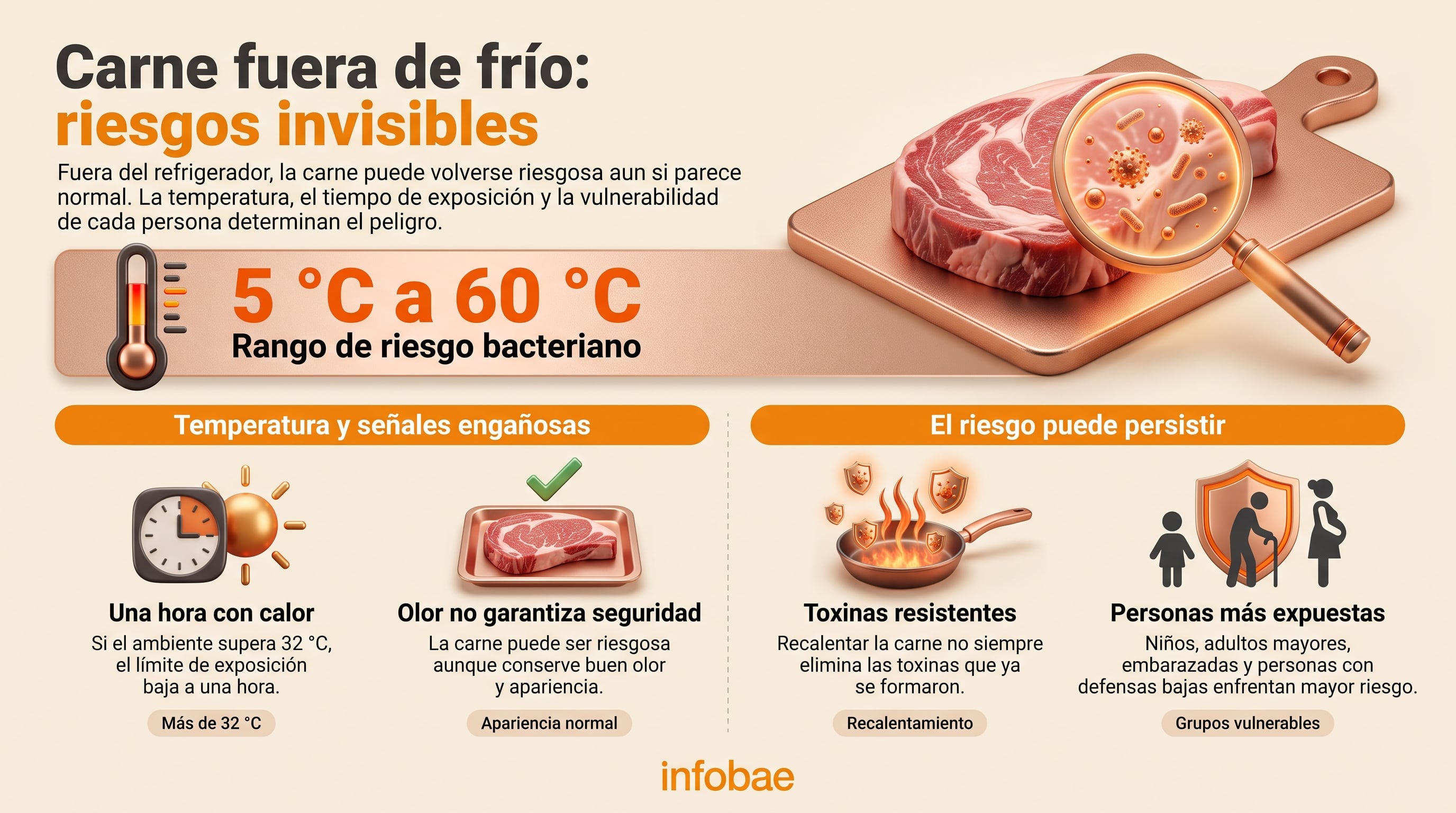 Riesgos bacterianos y límites de temperatura al conservar carne fuera del refrigerador. (Imagen Ilustrativa Infobae)