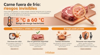 Infografía con un trozo de carne bajo una lupa que ilustra bacterias, un termómetro de temperatura y cuatro recuadros explicativos.