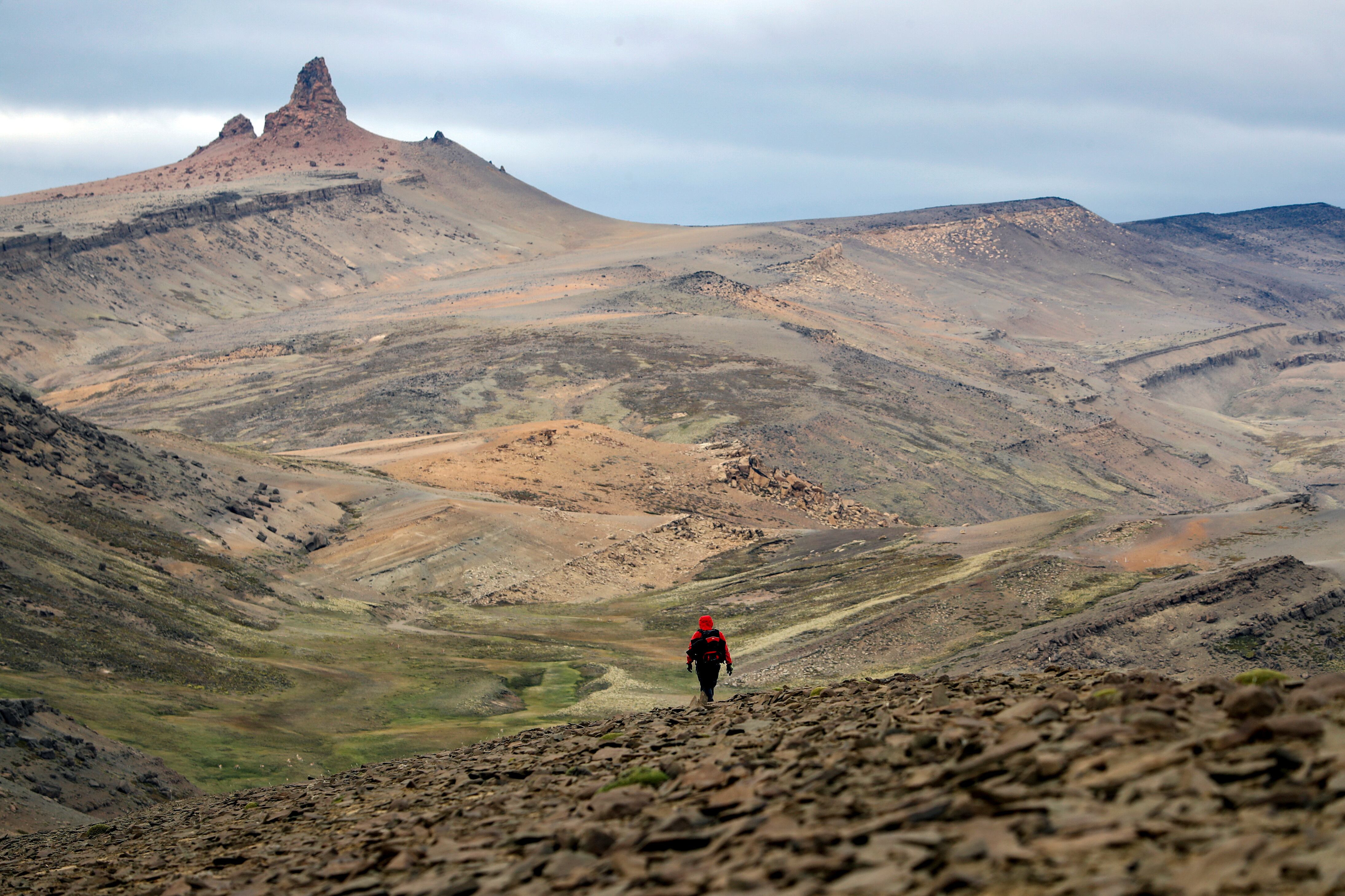 Un investigador camina por el Parque Nacional Torres del Paine, Patagonia, Chile, en esta fotografía tomada en febrero de 2020 y distribuida el 11 de junio de 2020 (Felipe Trueba/EPA/Foto de archivo vía REUTERS)