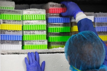 Los esteroides son medicamentos inmunosupresores