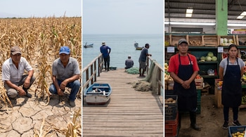 Dos agricultores en un campo de maíz seco; cuatro pescadores en un muelle con botes; un hombre y una mujer en un puesto de mercado con verduras.