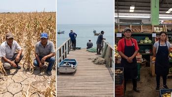 Día Mundial de la Alimentación: la paradoja de un país que tiene tanto y donde tantos tienen tan poco