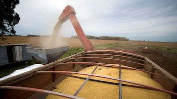 Una empresa argentina que convierte