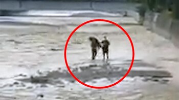 Video | Angustiante rescate de