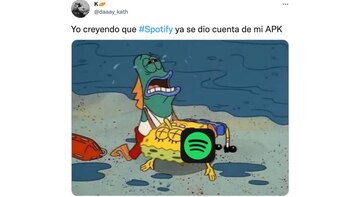 Memes por la caída de