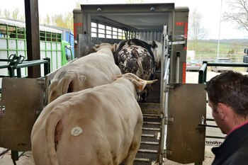 La medida actual, busca “integrar