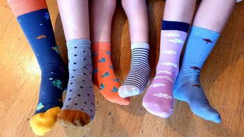 La propuesta de utilizar dos