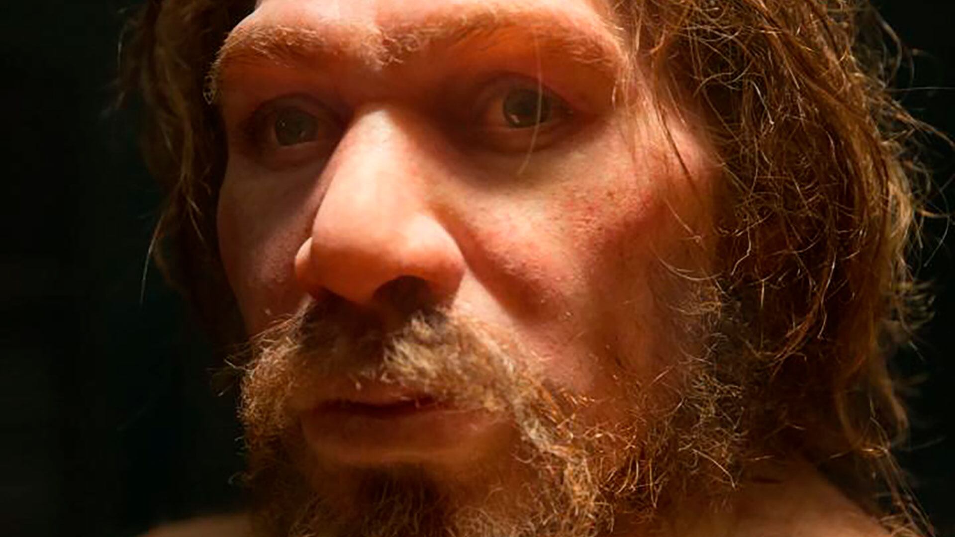 El beso entre neandertales y humanos modernos habría existido hace más de 40.000 años/Archivo PETR KRATOCHVIL