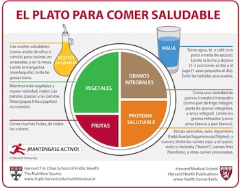 El Plato para Comer Saludable,